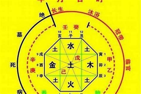 喜木命|怎么看自己的八字属性？